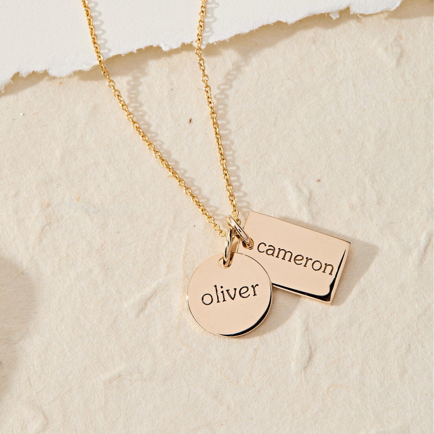 Circle & Mini Dog Tag Necklace