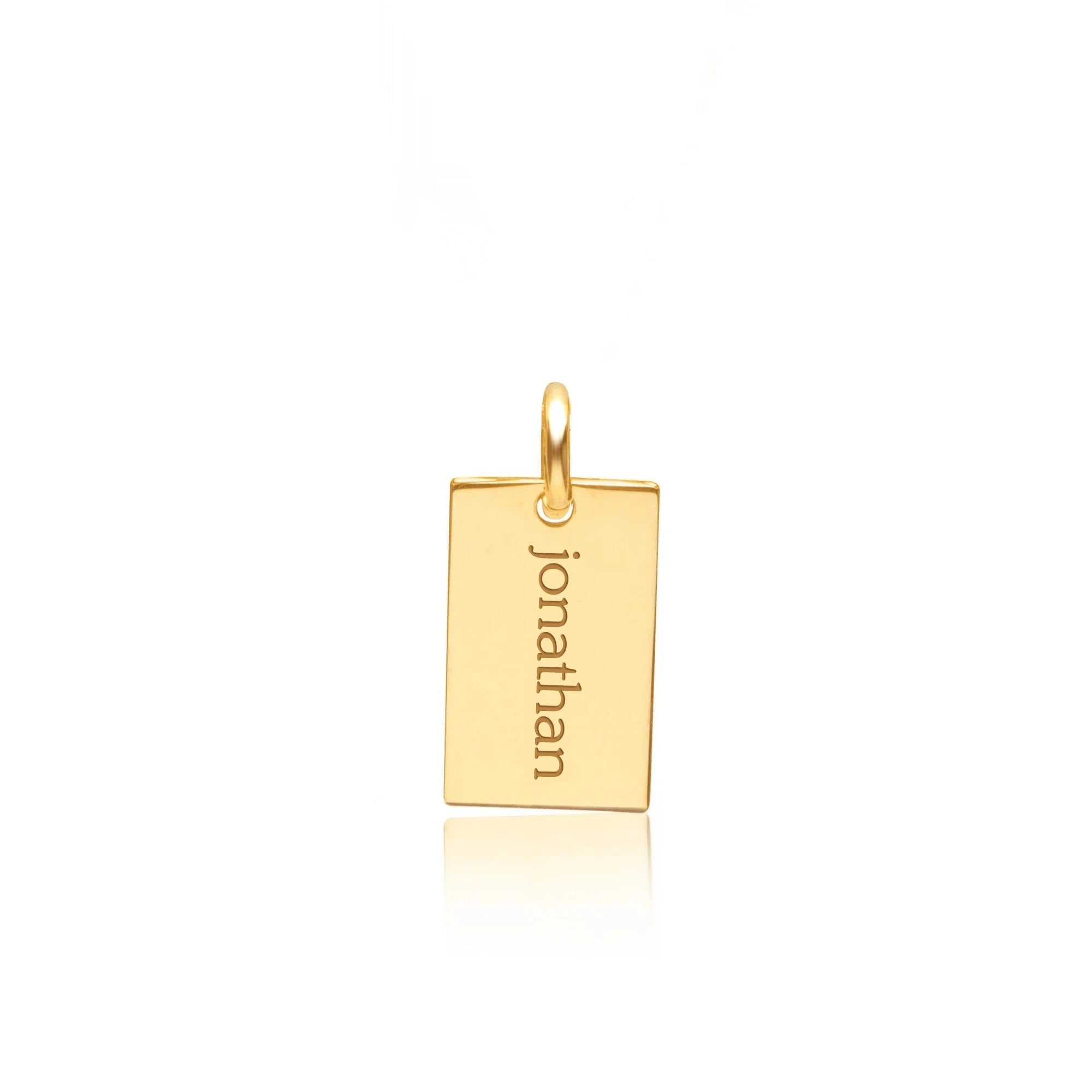 14k Gold Mini Dog Tag Tiny Tags Tiny Tags