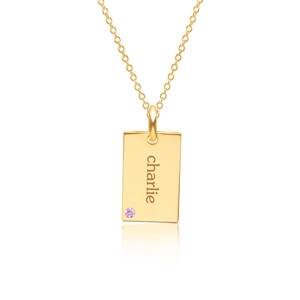 Gold Mini Dog Tag Necklace with Birthstone