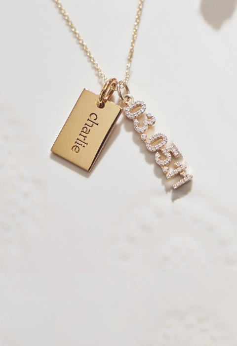 gold mini dog tag and vertical pavé date necklace