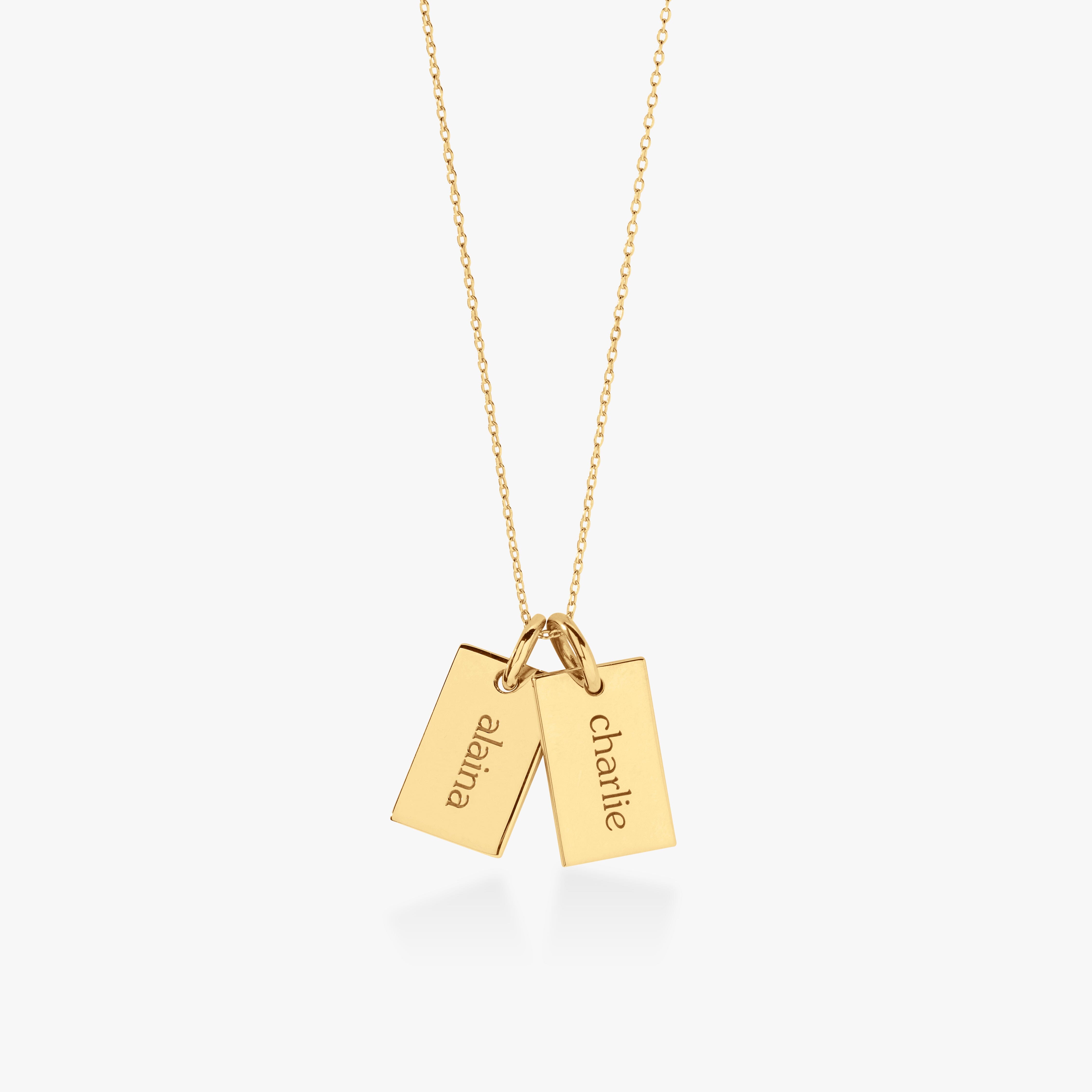 Mini Dog Tag Necklace - 2 Tags